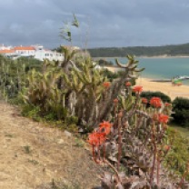 Vila Nova de Milfontes dramatic coastline